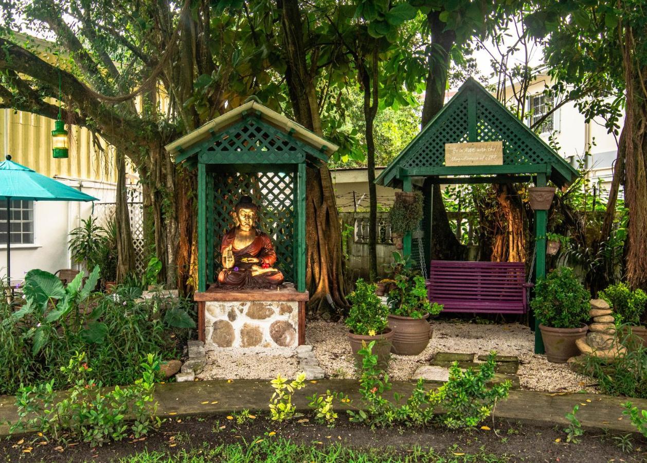 Harbour View Boutique Hotel & Yoga Retreat Belize City Exterior photo